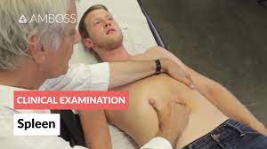 Examination Of The Spleen - Clinical Examination - Youtube