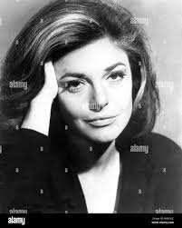 The bancroft hi-res stock photography and images