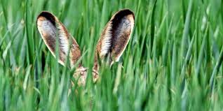 März gesetzt, so dass der frühstmögliche termin für den ostersonntag der 22. Wann Ist Ostersonntag Und Welche Bedeutung Hat Er