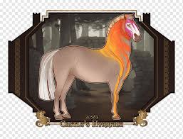 Check spelling or type a new query. Stallion Friesian Sporthorse Friesian Horse Pony Mustang Bifrost Horse Mammal Mare Png Pngwing