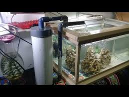 Tutorial cara membuat aquarium dari botol bekas bahan untuk membuat aquarium dari botol bekas : 14 Filter Aquarium Dari Paralon Bekas How To Make Aquarium Filters Youtube Aquarium Akuarium Ikan