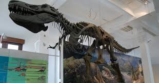 Museum geologi bandung adalah salah satu museum yang ada di bandung yang beralamat di jalan diponegoro no. Museum Geologi Bandung Rute Lokasi Dan Harga Tiket Masuk