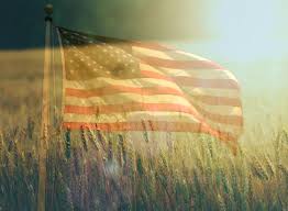 A kendall county witness to history: My Favorite Things For Amber Waves Of Grain