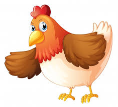 Kostenloses sachunterricht und kunst material für alle. Bilder Huhn Gratis Vektoren Fotos Und Psds