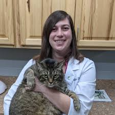 The mucus plug is a thick lining that forms during pregnancy and seals the cervix to protect against infection. What Is Blocked Cat And Why Should Cat Owners Watch For Signs Of It