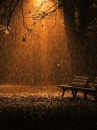 We did not find results for: Rainy Night Gif Download Share On Phoneky