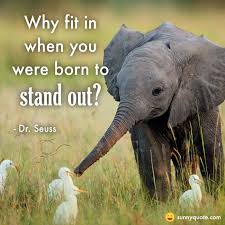 Why Fit In When You Were Born To Stand Out Elephant Sunny Quote A Sunny Quote To Brighten Your Day Cute Animal Pictures Cute Baby Elephant Cute Baby Animals
