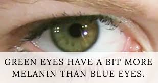 Check spelling or type a new query. Fascinating And Unusual Facts About Green Eye Color Owlcation