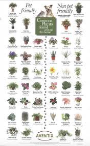 Pin On 100things2do