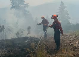This will address the potential for a mass evacuation scenario and provide our government with the means to secure the accommodation spaces necessary to support evacuees. Bc Liberals Want A Provincial State Of Emergency Enacted My Prince George Now