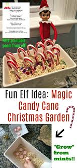 Simply click on the image or link below to download your printable pdf. Fun Elf Idea Magic Candy Cane Christmas Garden Free Printable Poem Mama Cheaps