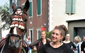 Salies De Bearn Transhumance Vers Le Pain De Sucre La Republique Des Pyrenees Fr
