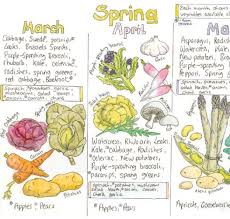 Chart Seasonal Fruit And Veg