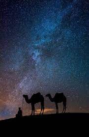 Book sahara sky luxury camp, merzouga on tripadvisor: Sahara Desert Merzouga Voyage De Reve Paysage Extraordinaire Nuit Etoilee