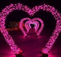Perfect Party Supplies: Find Quality commercial valentine ...