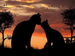 Father of all joys prayer for sick pets. How To Be With Your Pet During The Death Process Tibetan Buddhist Practices David Michie