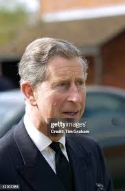 138 Charles Burnham Stock Photos, High-Res Pictures, and Images