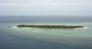 Coral Island