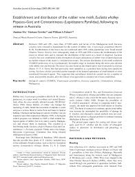 Image result for Euclasta