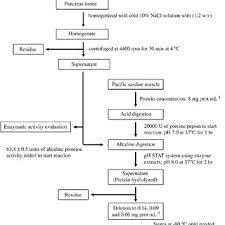 Flow Diagram For The Preparation Of Hydrolyzed Protein