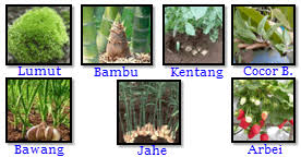 Check spelling or type a new query. Perkembangbiakan Hewan Dan Tumbuhan Imron Web Id