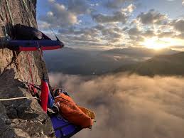 Image result for Kedrostis abdallai