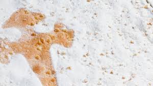 Purtroppo non sono riuscita a fare la foto al regalo, si trattava di un peluche e copertina e, con la collaborazione del negoziante, ho. Il Simbolo Del Cammino Di Santiago La Croce Di San Giacomo