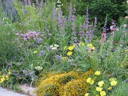 Searching through our pictures of rock gardens is great for finding inspiration for beautiful ideas. Rock Gardens Dyck Arboretum