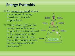 We did not find results for: Studying Life Introduction To Ecology Ppt Download