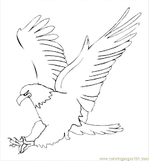 Eagle Beyblade Colouring Pages Bird Coloring Pages Easy Drawings Animal Coloring Pages