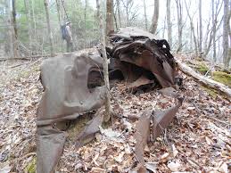 Recreational areas and offers so many trails you could spend weeks here. Davis Creek Bushwack In Bankhead National Forest Jnunniv