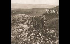 Мы хотим мести, мести за геноцид!!! Genocid Armyan V Fotografiyah Panarmenian Net