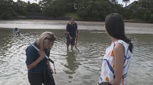 Instead of wasting countless minutes looking for your lost projectiles, use your metal detector to find it after a couple of swings. Team Of Kiwi Volunteers Wield Metal Detectors To Help Find Lost Rings 1 News Tvnz