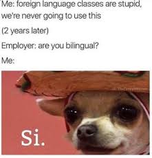 100 Pet Memes That Will Make You Lol Over And Over Again Funny Memes Animal Memes Funny Pictures