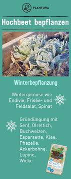 Hochbeet Bepflanzen Pflanzplan Mischkultur Grundungung Hochbeet Bepflanzen Hochbeet Bepflanzung