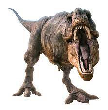 Dinosaur Png Image Dinosaur Images Dinosaur Photography Dinosaur Pictures