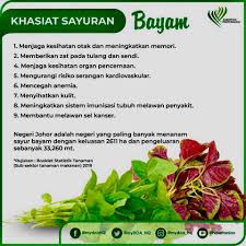 Aneka kreasi olahan sayuran bayam segar banyak juga jenis dan variasi yang tersedia ada yang pake kuah santan, tumis. Sayur Bayam Nama Biasa Tapi Jabatan Pertanian Malaysia Facebook