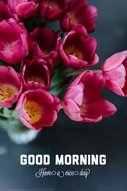  Good Morning In 2021 Latest Good Morning Images Good Morning Images Latest Good Morning