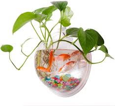 Find great deals on ebay for oriental fish bowl planter. Amazon Com Wall Mounted Fish Tank Wall Hanging Fish Bowl Wall Aquarium Acrylic Plant Pot Wall Planter Flower Pot Creative Home Decoration 11 6 Inches Pet Supplies
