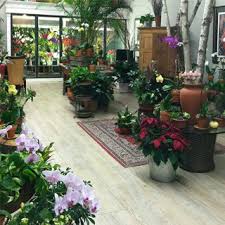 Best florist in clifton , i ordered mother's day flowers this year , my mom was was so happy with the flowers , they have a small delivery charge, but it well i ordered flowers for a bridal shower, i told them pink and white, with pink and white balloons they sent red and white roses with pink and white. Main Wholesale Florist Home Facebook