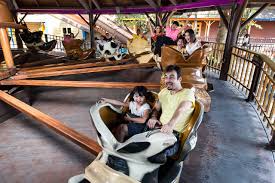 Gear up for an aerial adventure on malaysia's longest flying fox and soar to great heights on incredible rides such as the bungee jump. Amusement Park Sunway Lagoon Theme Park