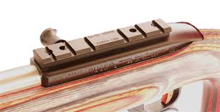 Maybe you would like to learn more about one of these? Ruger 10 22 Scope Mount Precision Machined Weaver Style Base