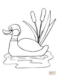 Funny Mallard In A Pond Coloring Page Free Printable Coloring Pages Animal Coloring Pages Farm Animal Coloring Pages Coloring Pages