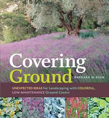 Another idea is to take two different. 10 Easy Low Maintenance Lawn Alternatives