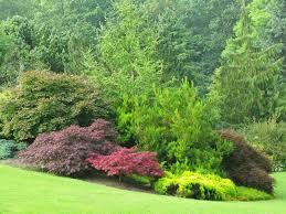 Poesie Des Erables Du Japon La Terre Est Un Jardin Erable Du Japon Jardins Paysagiste