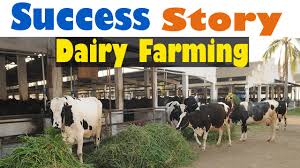 Success Story Of A Dairy Farm 2016 Dairy Farming In India Inspirational Must Watch Youtube Loan eligibility for dairy societies.