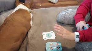 4 to 8 years old publication date: Blah Blah Blah Phonics Card Game Youtube