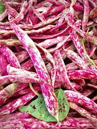 Bean Crainberry