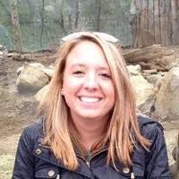 Danielle Surento Email & Phone Number