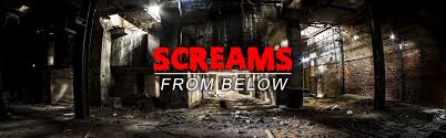 Using technology, creativity and artistry we work passionately to bring human connection back into the world of entertainment. Screams From Below Escape Room At Escape It Houston